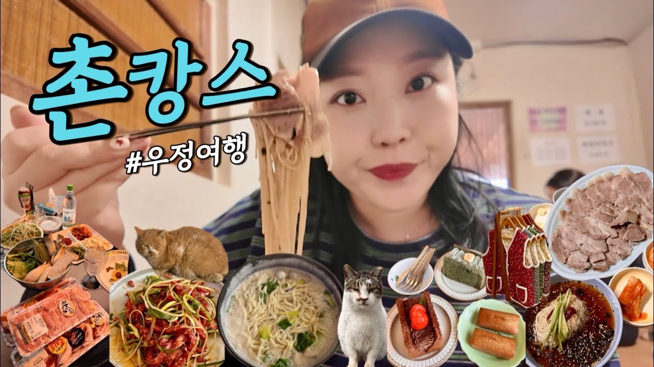 [촌캉스vlog]부여 촌캉스인데 이제 나는 솔로,이혼숙려캠프를 곁들인ㅣ부여 춘스테이,촌캉스,조조칼국수,밀키트,육회,장원막국수,편육,카페 단청,고양이,유기묘,할머니 조끼,나는솔로