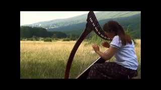 Video thumbnail of "Carolan's Ramble to Cashel  -  ( Celtic Harp )"