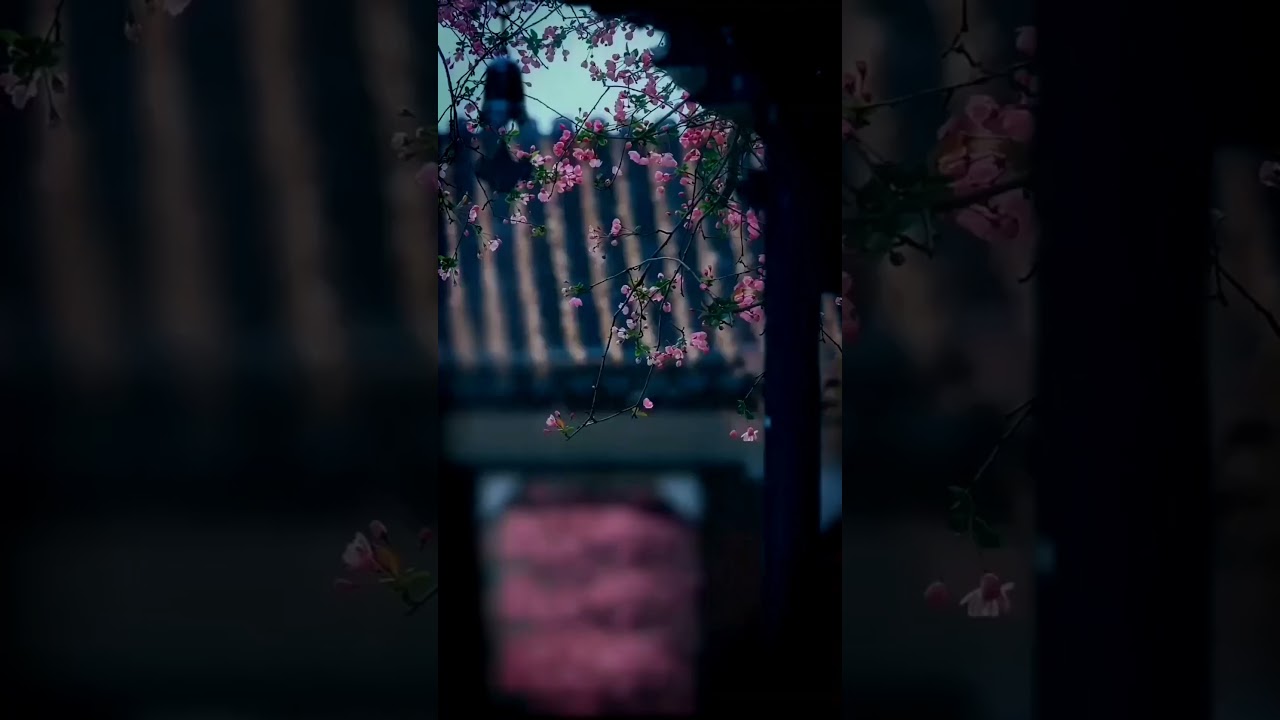 Ye mosam ki barish status 🤗 Aesthetic Status 💫 WhatsApp status ☘️ Rain WhatsApp status video