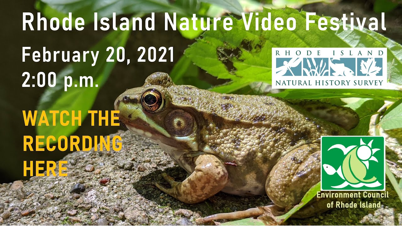 Rhode Island Nature Video Festival 2021 WATCH THE WHOLE LIVE RECORDING HERE