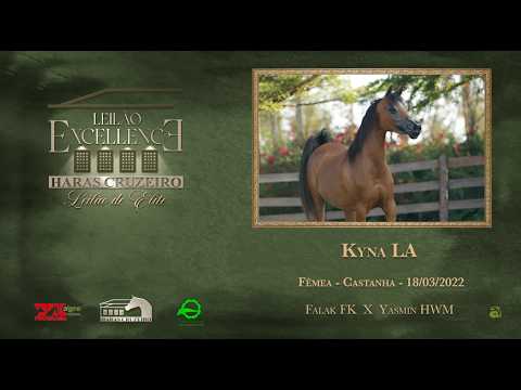 LOTE 07 - KYNA LA