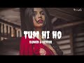 Meri aashiqui ab tum hi ho,female version,aashiqui 2, slowed and reverb//B.S Lofi Mp3 Song