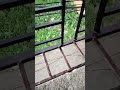 ☔🌧️⛈️🌩️😄#reels #viral #music #song #rain