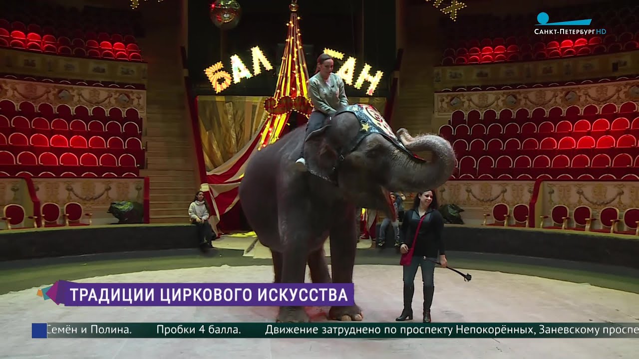 Смотреть видео