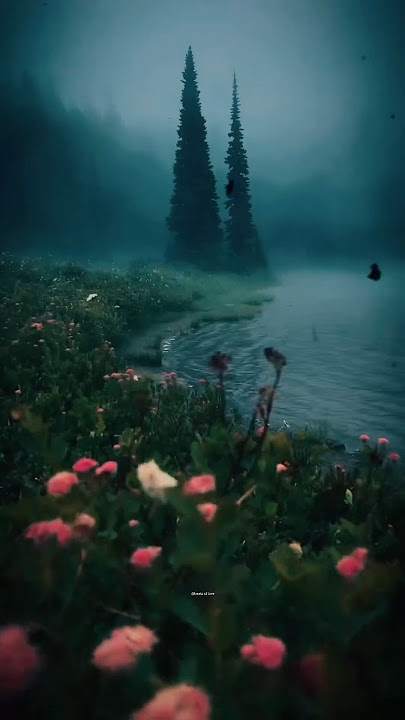 𝘚𝘢𝘥 𝘚𝘵𝘰𝘳𝘺 𝘕𝘦𝘷𝘦𝘳 𝘌𝘯𝘥𝘦𝘥 𝘉𝘦𝘵𝘵𝘦𝘳 🖤 𝘒𝘢𝘢𝘭𝘢𝘪 𝘔𝘢𝘢𝘭𝘢𝘪 𝘝𝘦𝘭𝘢𝘪 𝘜𝘯 𝘒𝘢𝘥𝘩𝘢𝘭 𝘕𝘪𝘯𝘢𝘪𝘷𝘶𝘨𝘢𝘭 🌞