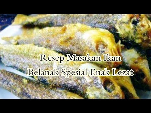 resep-masakan-ikan-belanak-spesial-enak-lezat