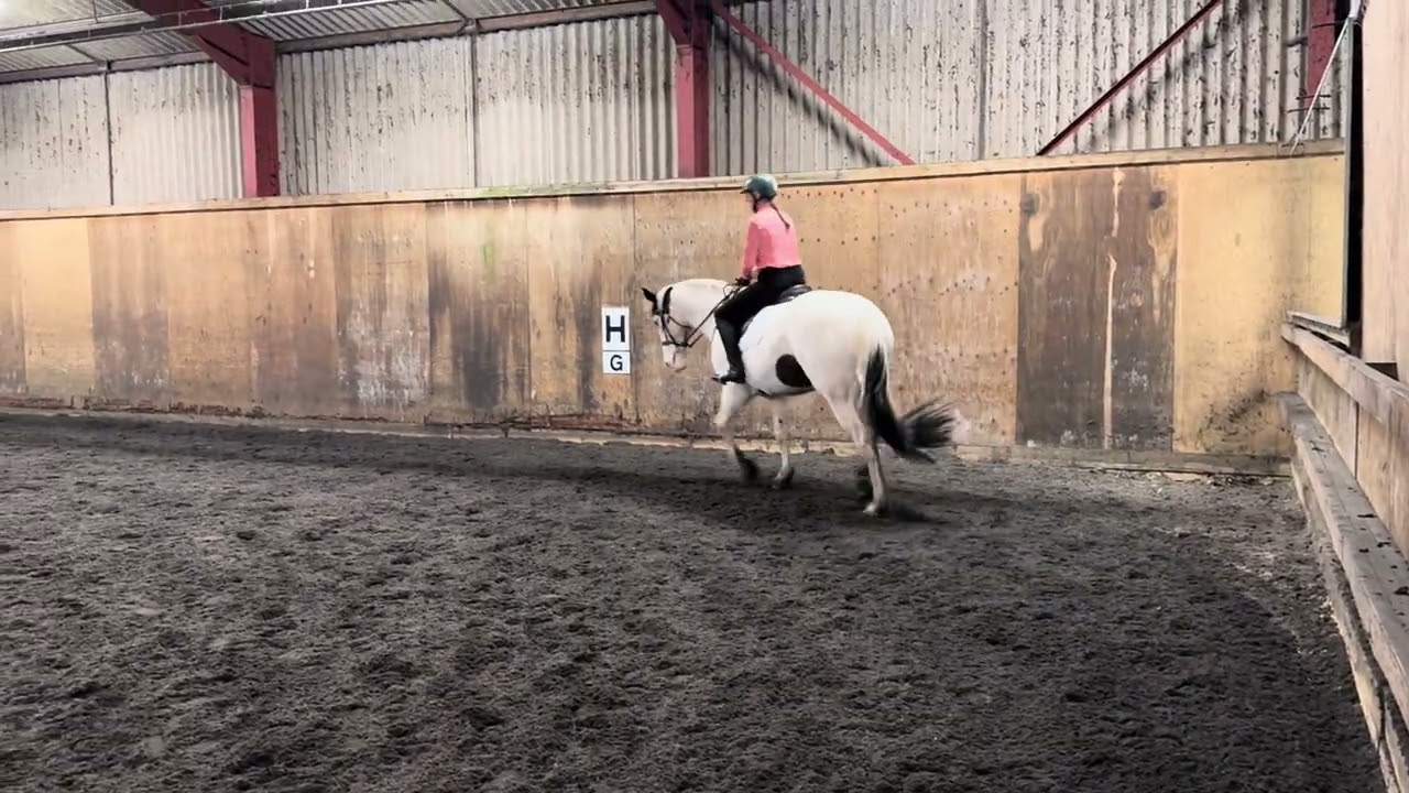 Intro 1a e-dressage test @bournevalestables 