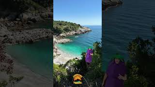 Piesa aceea cu vinetele !!!  De vinete, de vinete ;)))