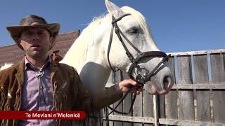 TV MITROVICA - Emisioni N'Vikend. Ferma e kuajve në Melenicë 20.03.2021
