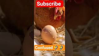 Donald Trump explains his latest policy plan in 60 seconds #shorts #shortsfeed #ytshorts #funny #ai