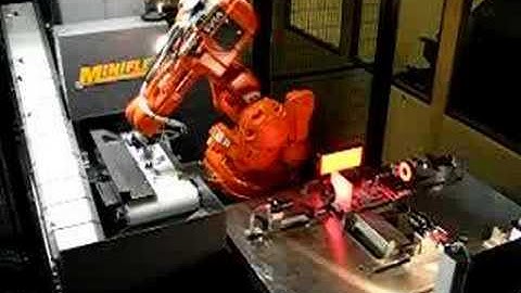 Vision guided robots MiniFlex part1