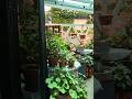 눈부신 오월의  정원 A  Radiant May Garden