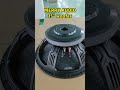 15 inch speaker