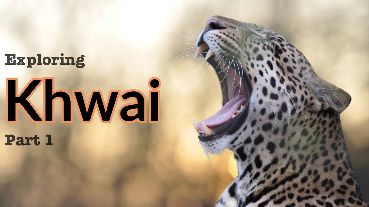 Exploring Khwai part one April 2024