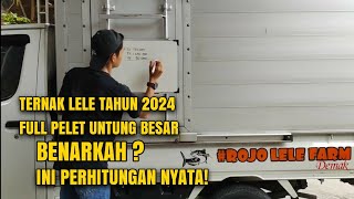 REAL KEUNTUNGAN TERNAK LELE 1000 EKOR FUL PELET TAHUN 2024