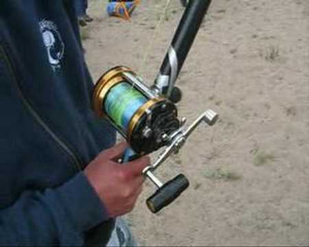 Penn 980 vs Daiwa 7ht mag - YouTube