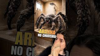 Aranha no chuveiro