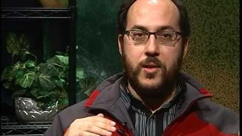 The A-List (2010): Ben Collins-Sussman