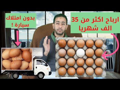 مشروع توزيع البيض | ارباح شهرية تصل الي 35 الف بدون ما يكون عندك عربية |دراسه جدوي مشروع توزيع البيض