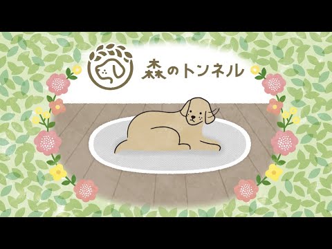 森のトンネル絵本【フルバージョン】