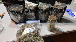 Seed to harvest dry weight RuntZ by Crop King Seeds. Organic green rush nutrients code:Weeden420