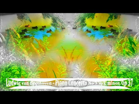 Ludwig van Beethoven Piano Concerto No 3 in C minor, Op 37