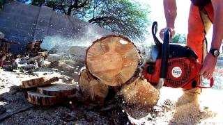 Stihl 660 Makita 6421 Dolmar 6400 chainsaws cutting