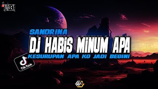 DJ HABIS MINUM APA KO JADI BEGINI [SANDRINA] TERBARU MENGKANE VIRAL TIKTOK 2023