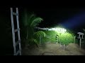 Gado correndo assustado com auguma coisa #sitio #natureza#agro