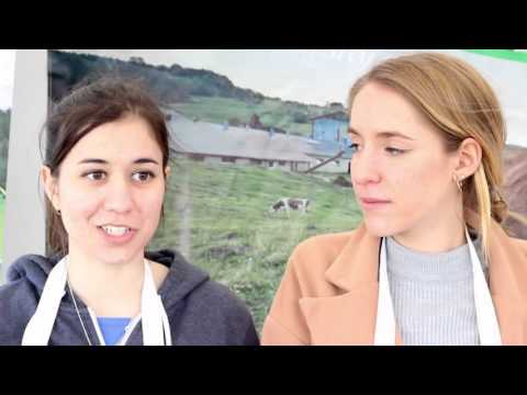 Research on the Run: What is Comté Cheese?