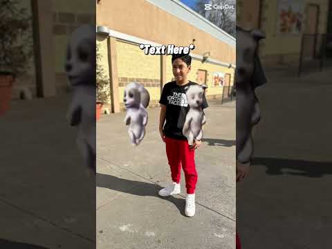 Guys please subscribe