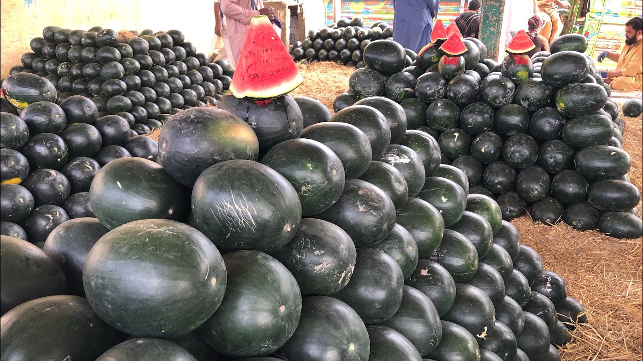 Karachi Fruit Mandi Rates Updates Today | Karachi Fruit Mandi 7/ March 2026 ki Updates 