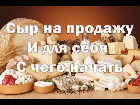 Сыроделие, как бизнес.   С чего начать. Стоит ли покупать сыроварню начинающему сыроделу.