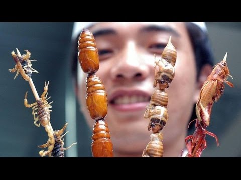 Insekten Essen Doku Deutsch