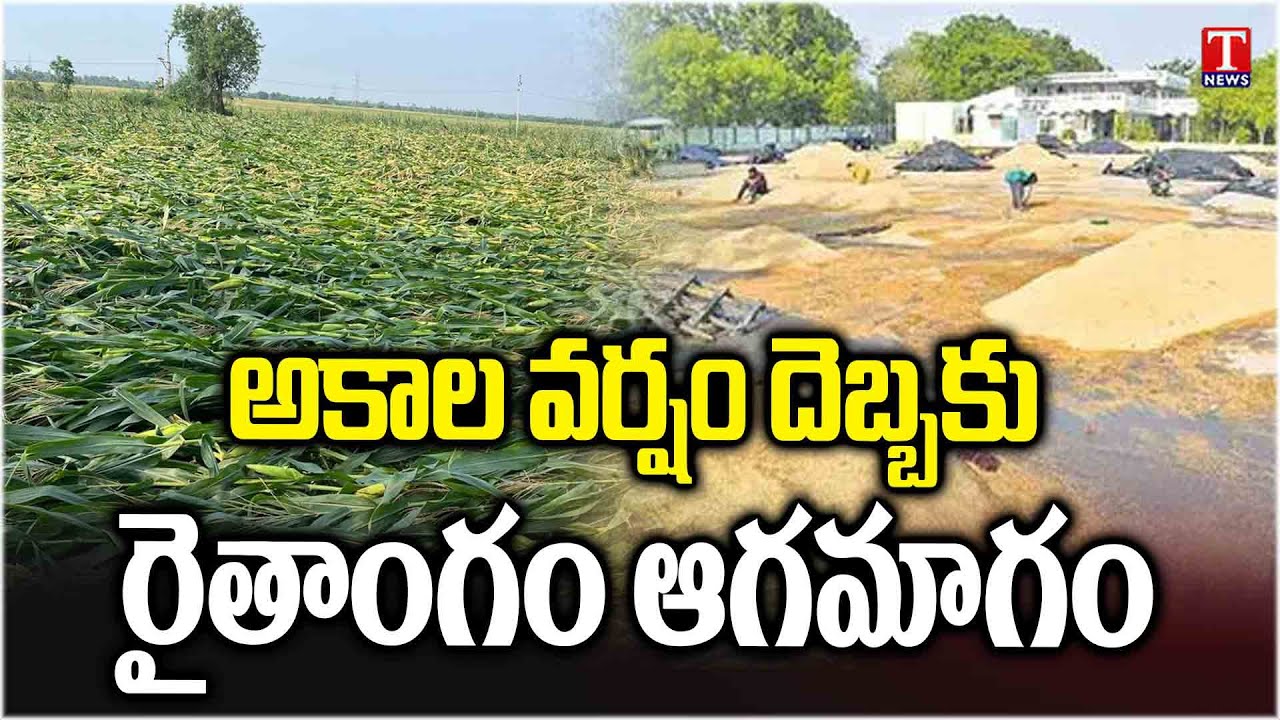 Farmers Are Suffering due to untimely rain Across Telangana | T News ...