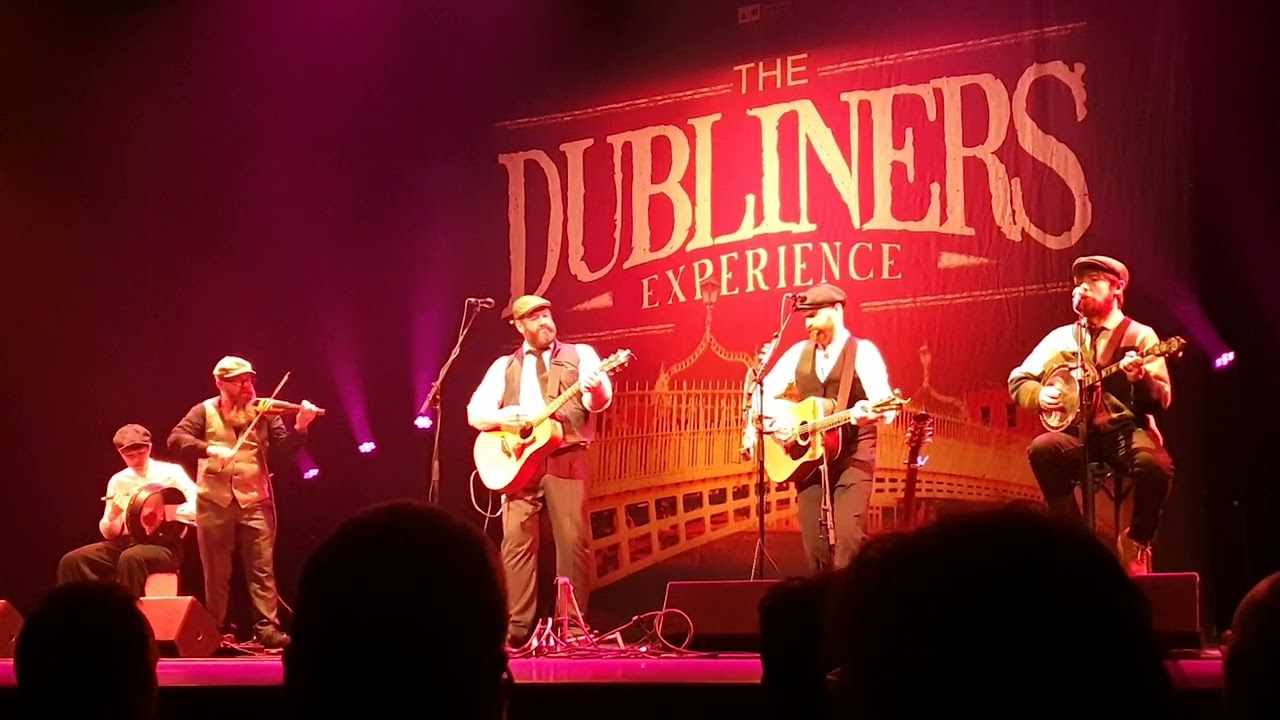 Molly Mallone by the Dubliners Experience in Rijswijk