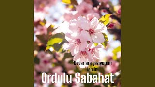 Duvarlara Yazıyorum İsmini