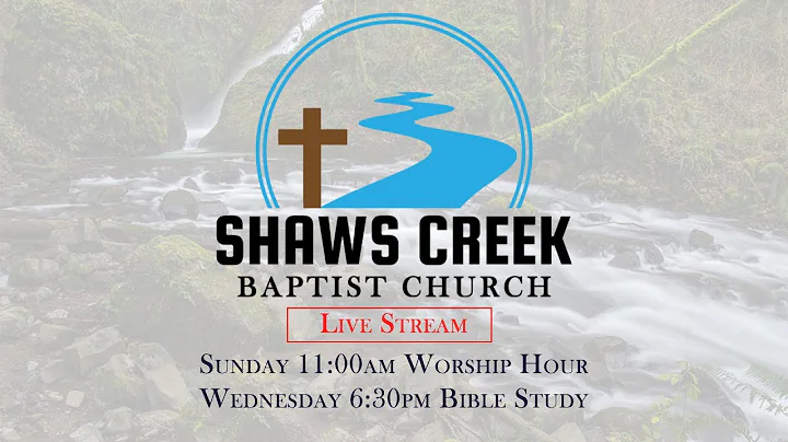 Shaws Creek LIVE Stream