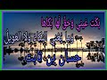 ب ك ت ع يني و ح ق ل ها ب كاها حسان بن ثابت يرثي حمزة رضي الله عنه ب ك ت ع يني و ح ق ل ها ب كاها حسان بن ثابت يرثي حمزة رضي الله عنه