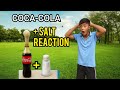 Coca-Cola আৰু নিমখৰ Reaction 🤯💥 || Coca-Cola And Salt Reaction.