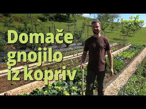 Video: Kako Uporabiti Krompirjeve Olupke Kot Gnojilo Na Vrtu In še Več - Koristni Nasveti