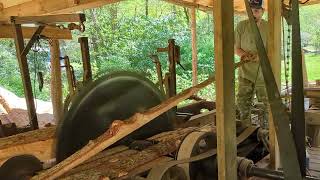 hot day  cutting hemlock