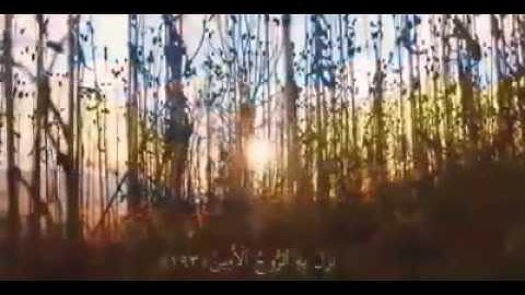 خواتيم سورة الشعراء || إسلام صبحي