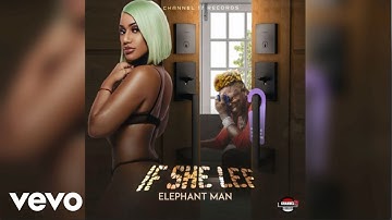 Elephant Man - If She Lef (Official Audio)
