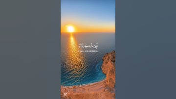 سورة إبراهيم 🤍 #قرآن #المصحف #قران_كريم #ناصر_القطامي #قرآن #ناصر_القطامي #العرب #سورة_إبراهيم