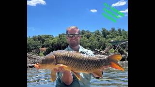 Mossy Creek Fly Fishing Forecast 7/6/2026