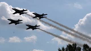 Blue Angels Vidalia Shorts