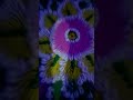 rangoli #unfrezzmyaccount #account #love #song #diwali #rangoli