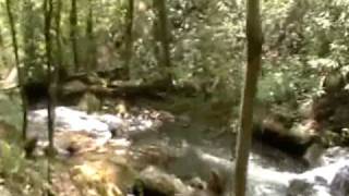 Celebrity Nancy Today: 4 Trail from Annie Ruby Falls ASMR Waterfall Profile