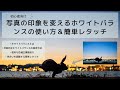 写真の印象を変える!ホワイトバランスの使い方&簡単レタッチ方法【初心者向け】